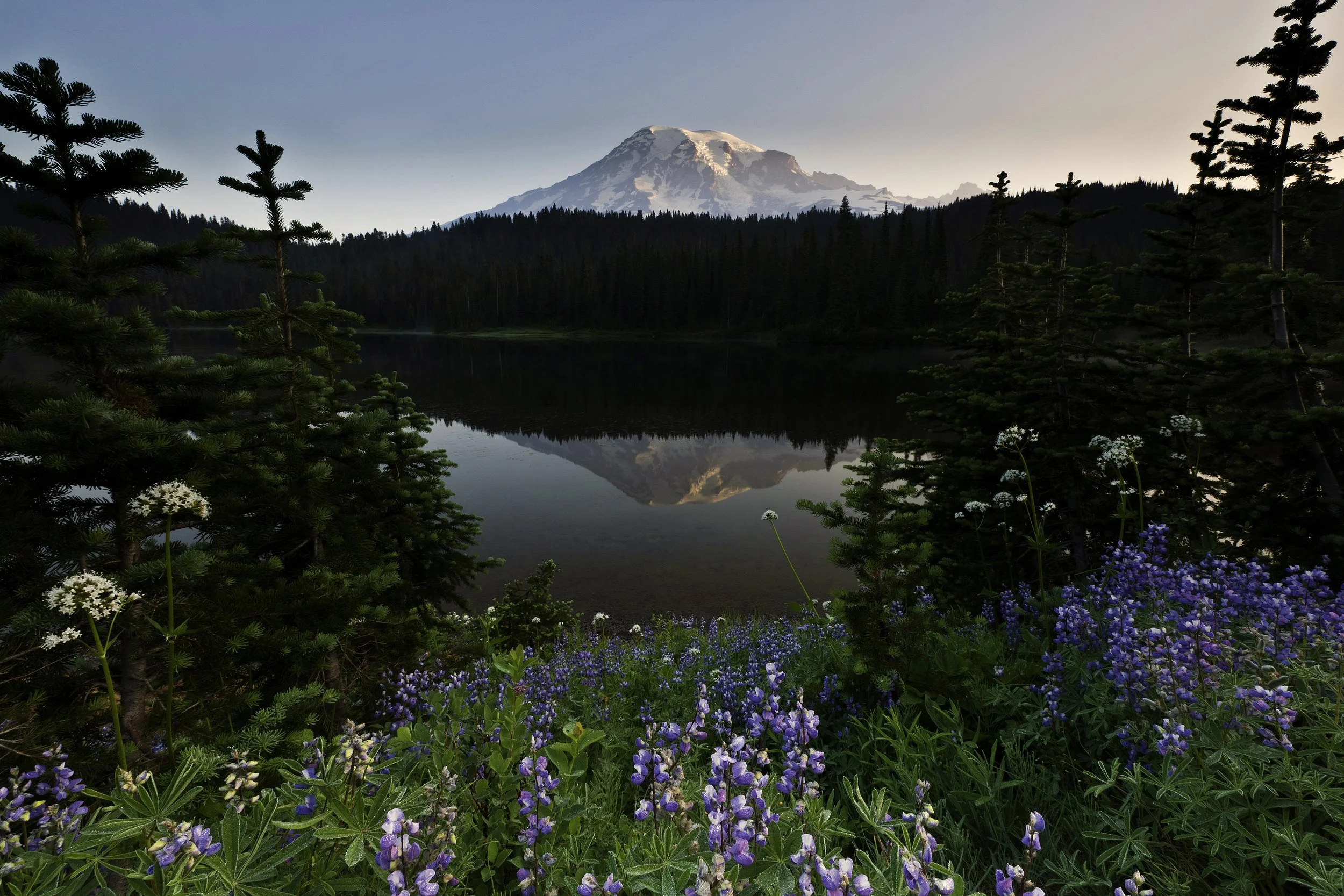 sunrise-mount-rainier.jpg