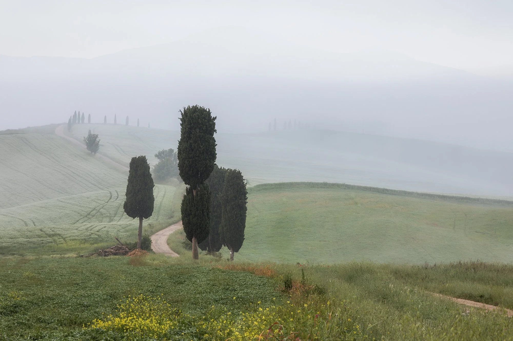 Winding road in Val d'Orcia Tuscany by Jennifer King Photo Workshops