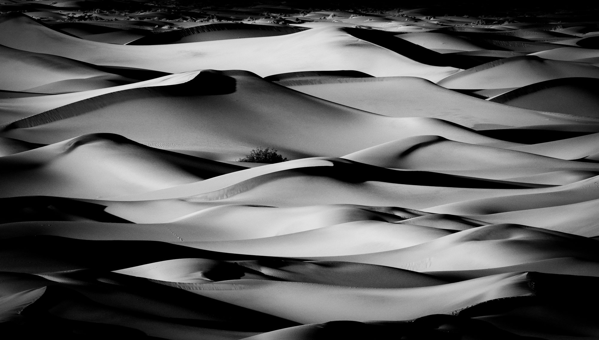 Waves of Sand Jennifer King.jpg