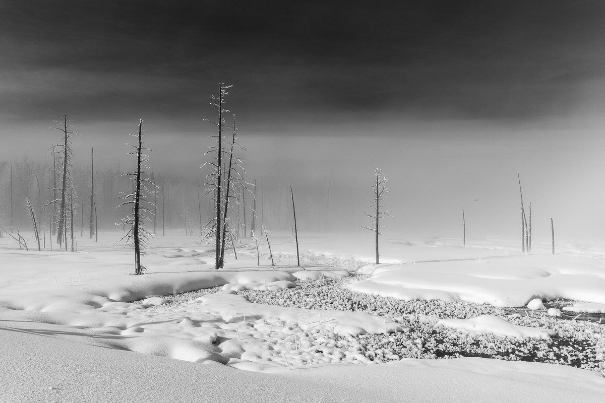 Winter Inside Yellowstone Photo 
