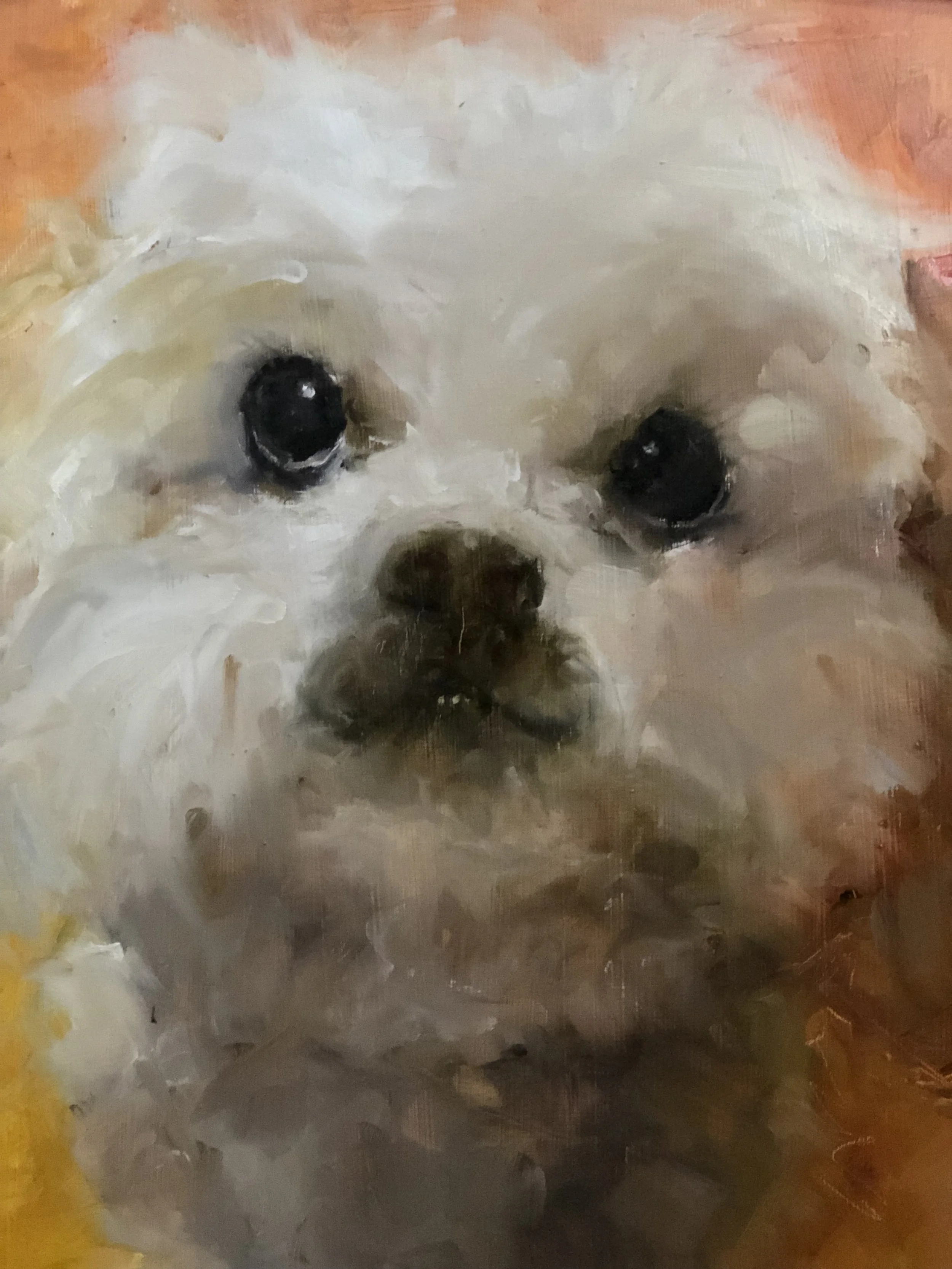 Hazel Wants a Treat