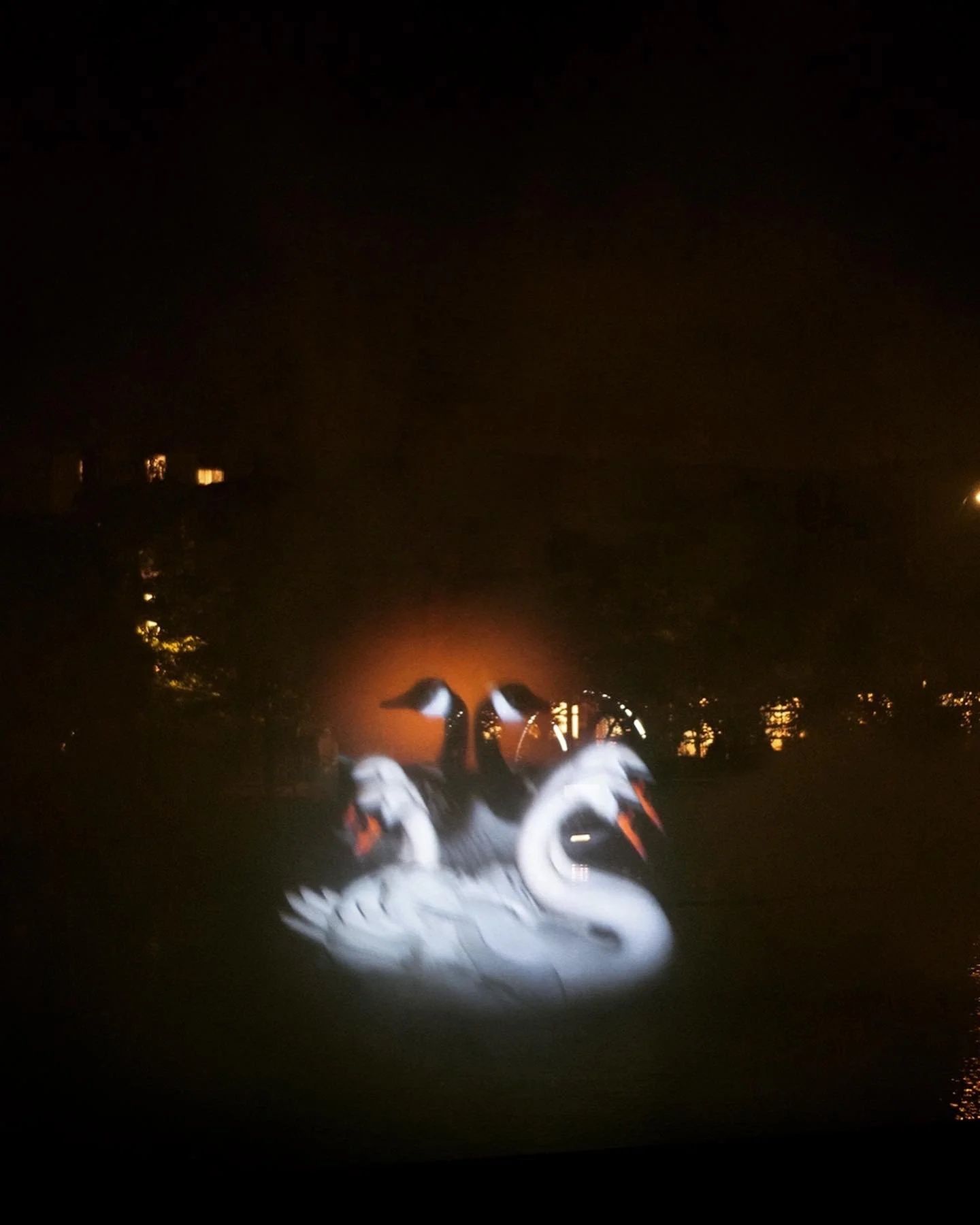 2B6A8D8F-2194-4527-BEDF-50F87D05C1F5 2.JPG