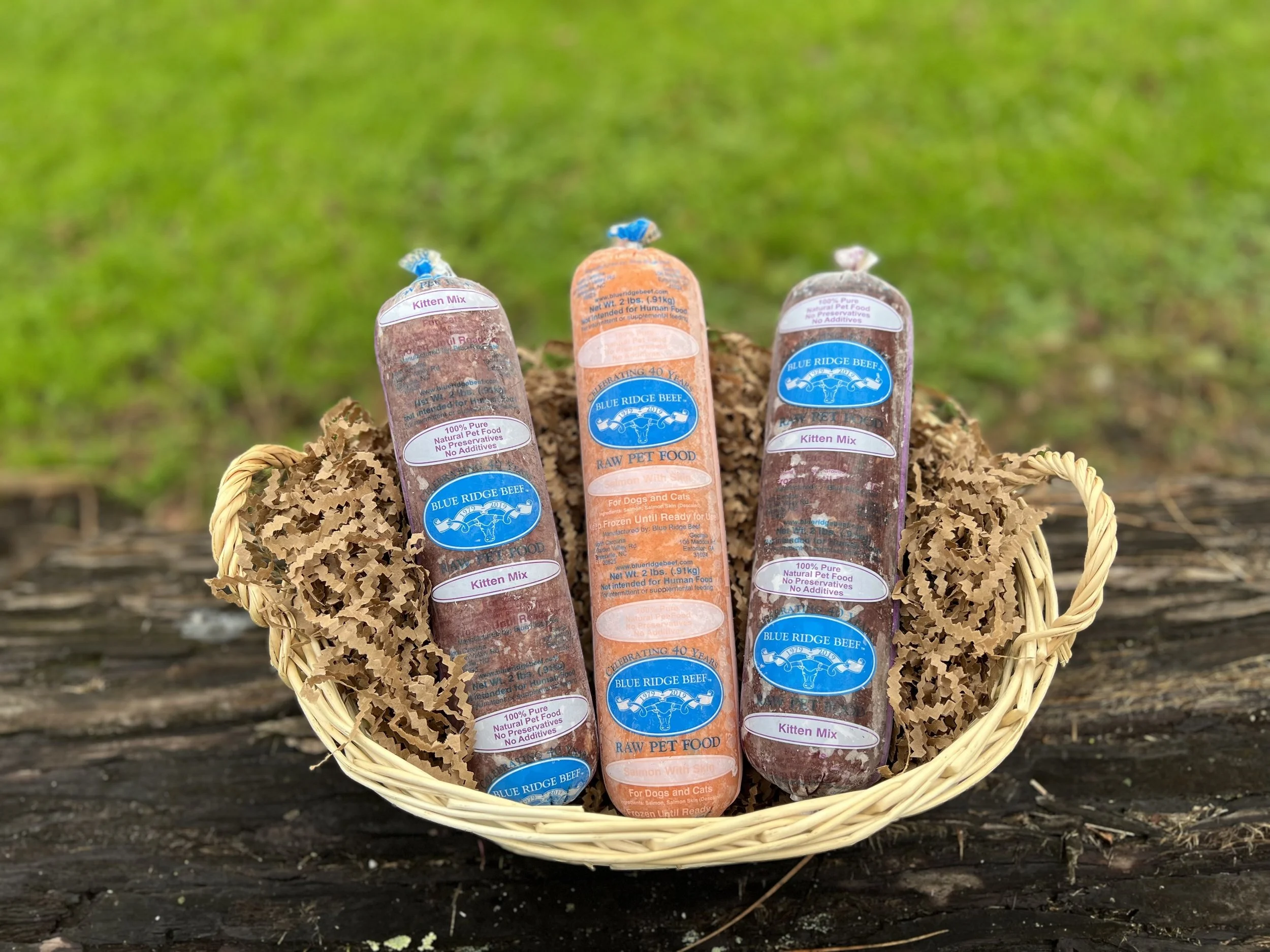 Cat/Kitten Starter Kit FREE SHIPPING!