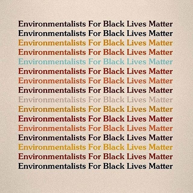 This graphic by @greengirlleah has been widely shared, but it simply can&rsquo;t be stressed enough: there is no climate justice without racial justice. If you&rsquo;re committed to sustainability and environmentalism, you must recognize that the imp