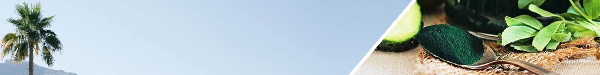 Recipe+header+5.jpg