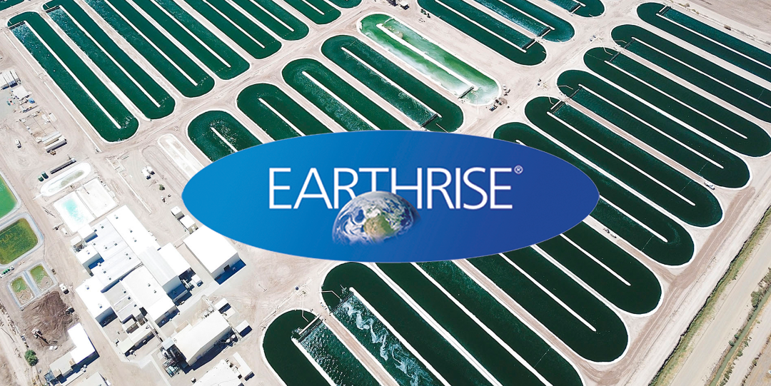 Earthrise Californian Spirulina