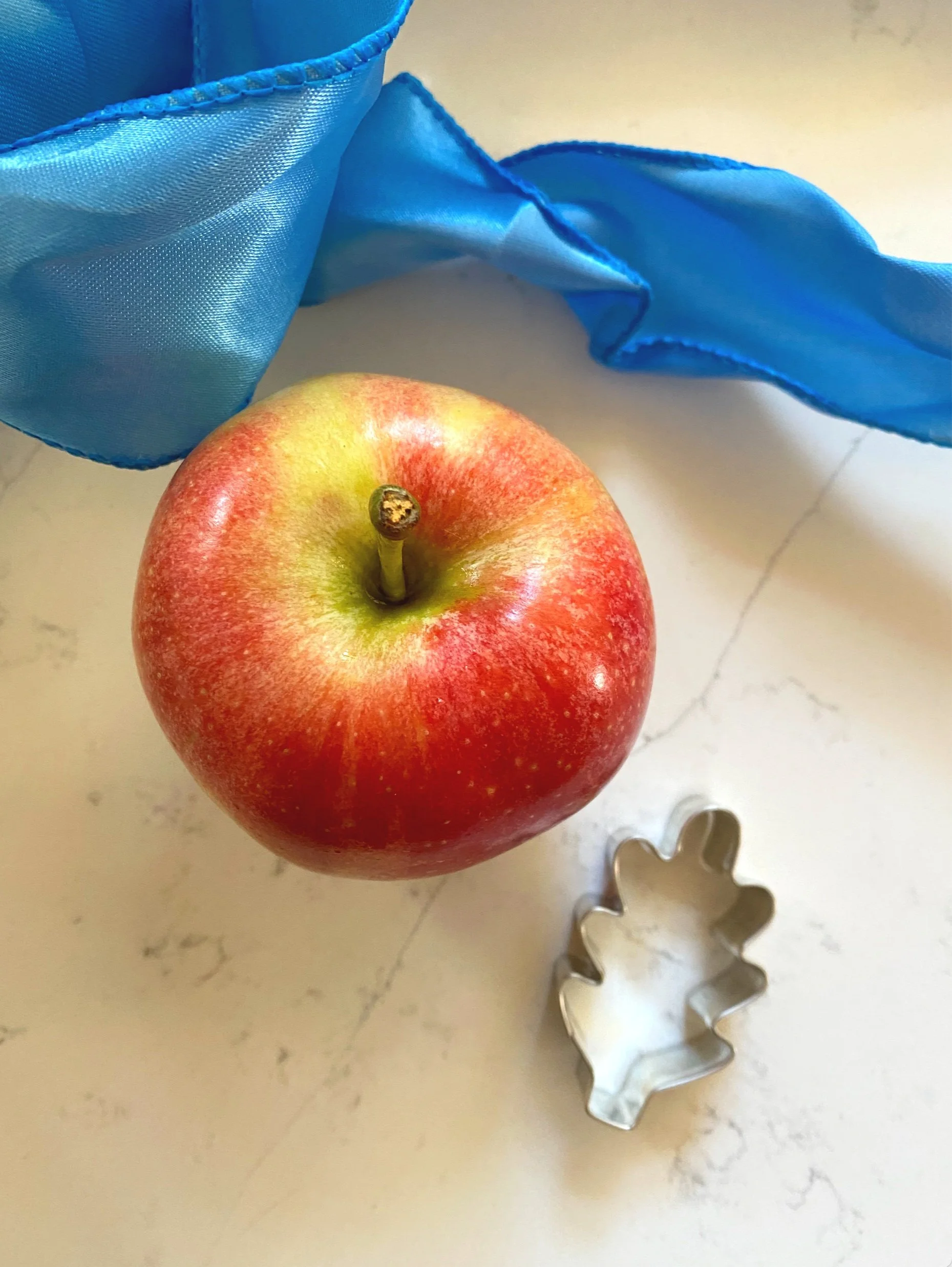 The Autumn Magic Collection: Cookie Cutters, Made in USA Cookie Cutters