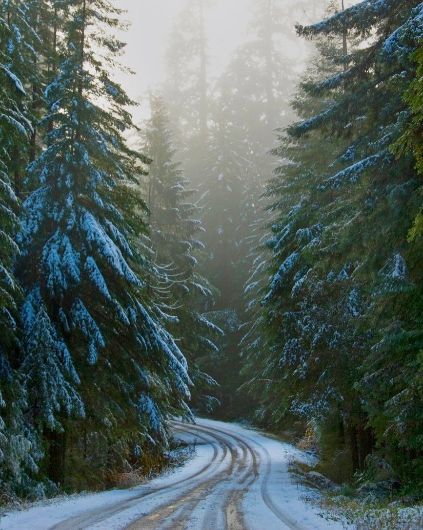 The woods are lovely, dark and deep. But if it snows again&mdash;and it&rsquo;s on the forecast this week&mdash; we&rsquo;re moving to Florida 😵&zwj;💫🤣😩🥶👀🤦🏼&zwj;♀️😭

#christmasallyear #christmasdecorating #christmasbaking #farmhousechristmas