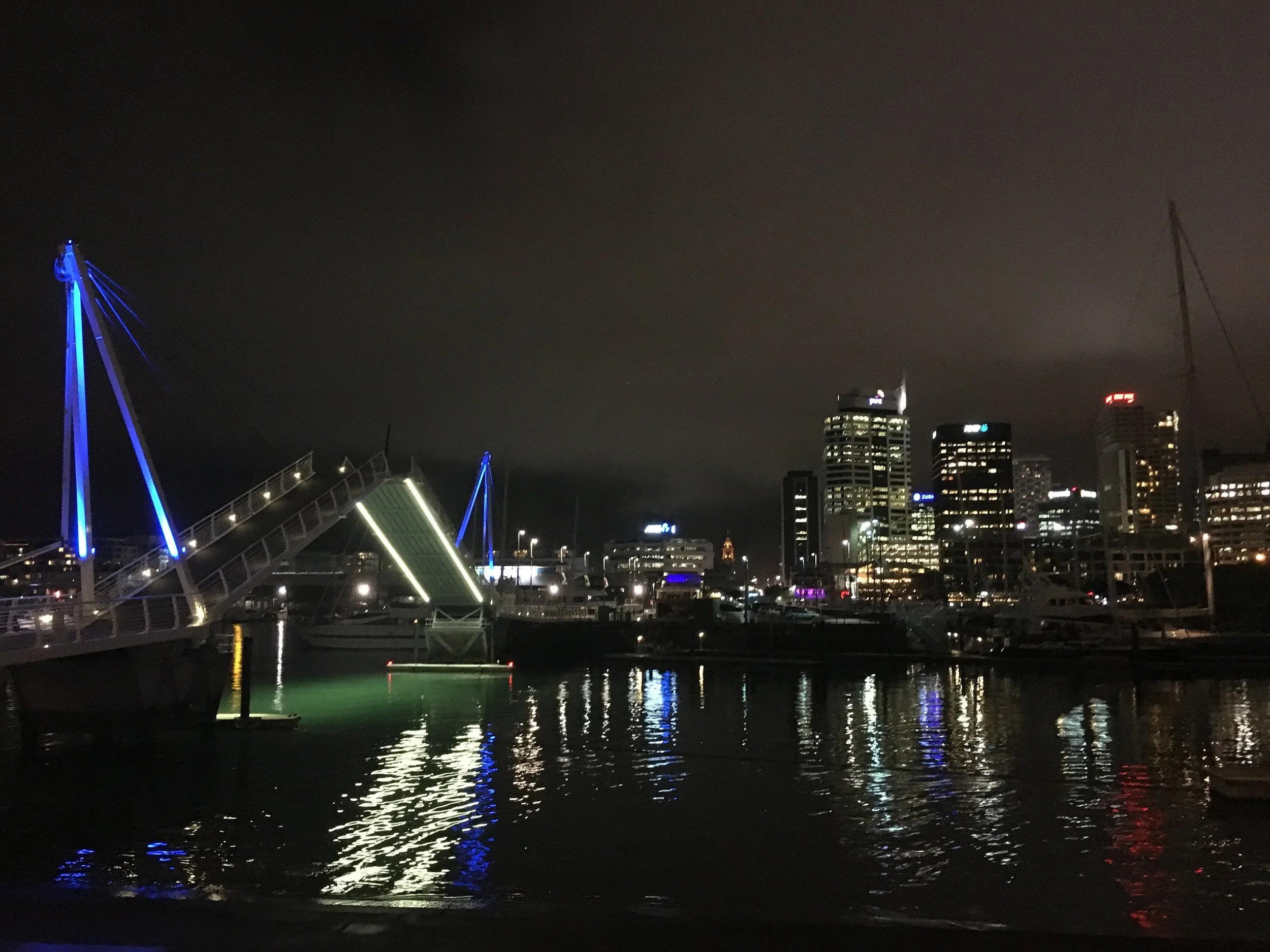 IMG_2310.jpeg