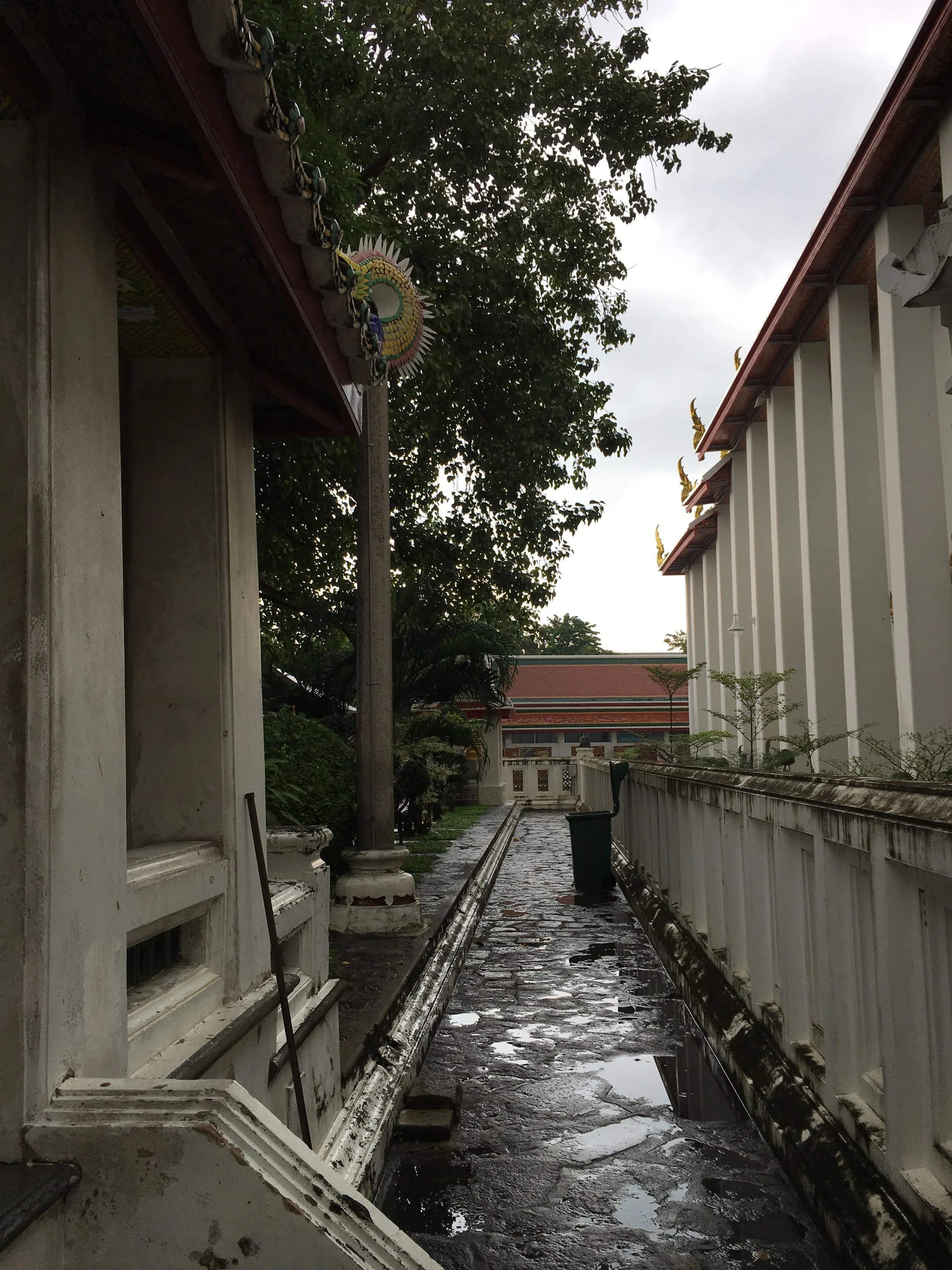 IMG_0667.jpeg