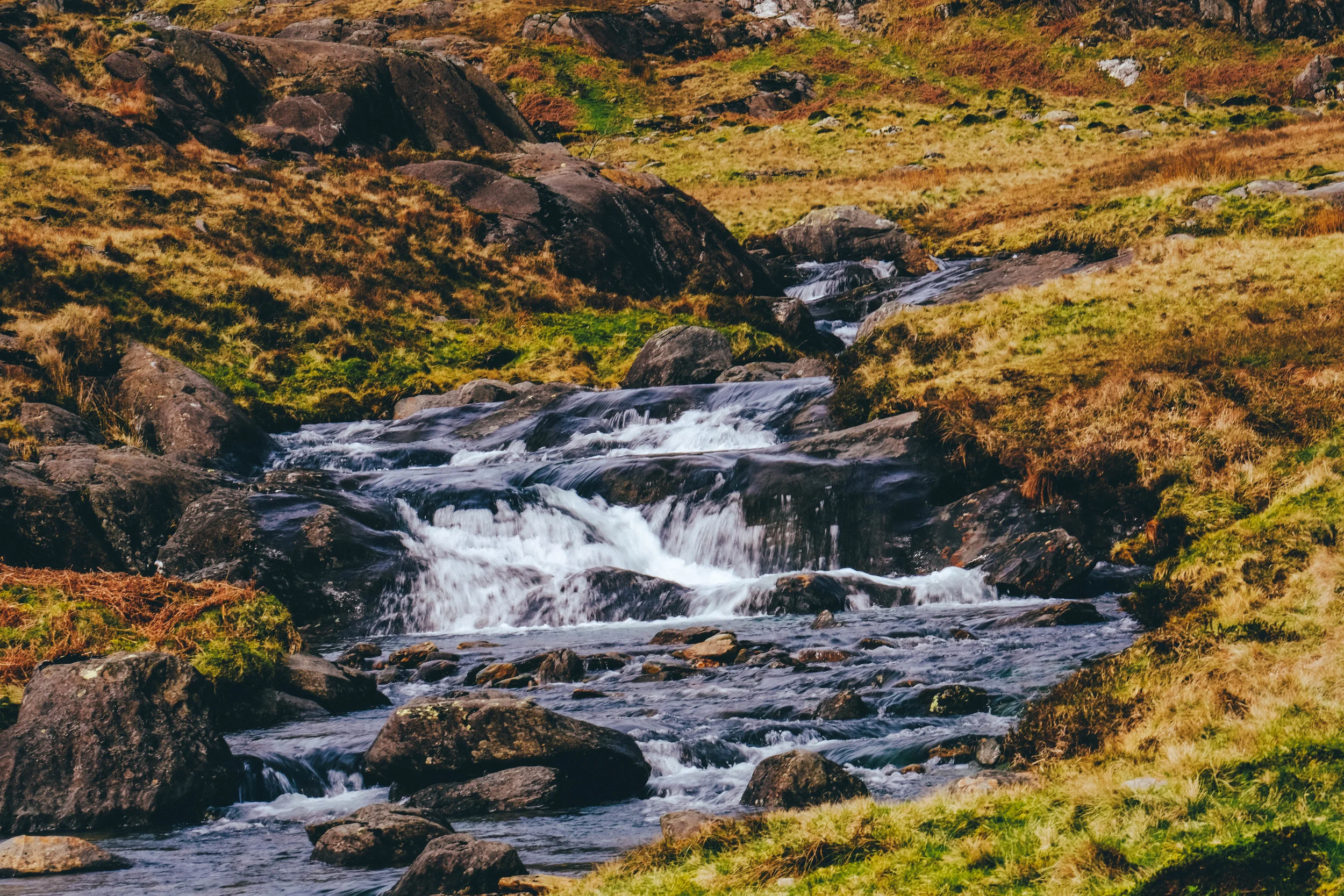DSCF2904.jpg