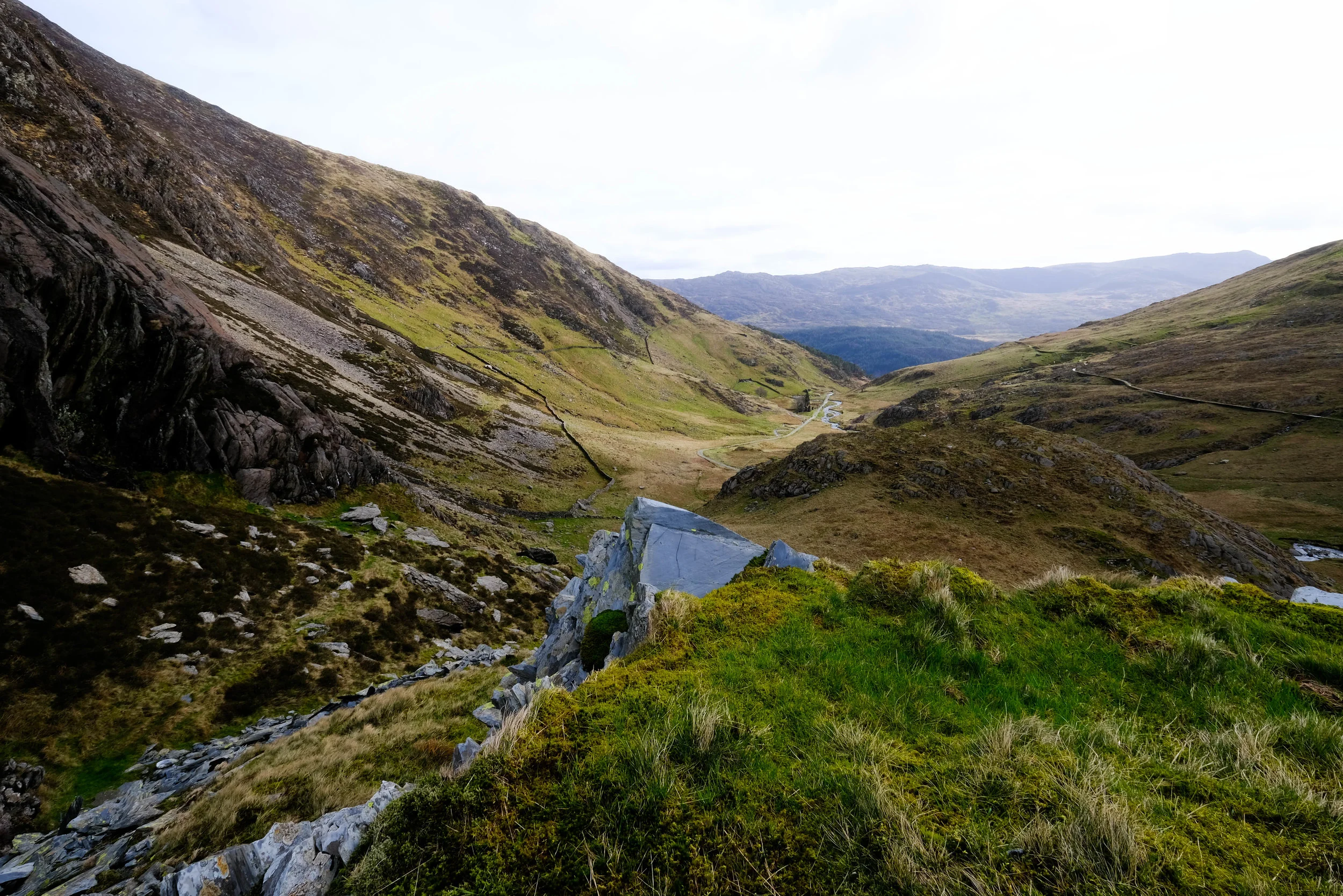 DSCF2970.jpg