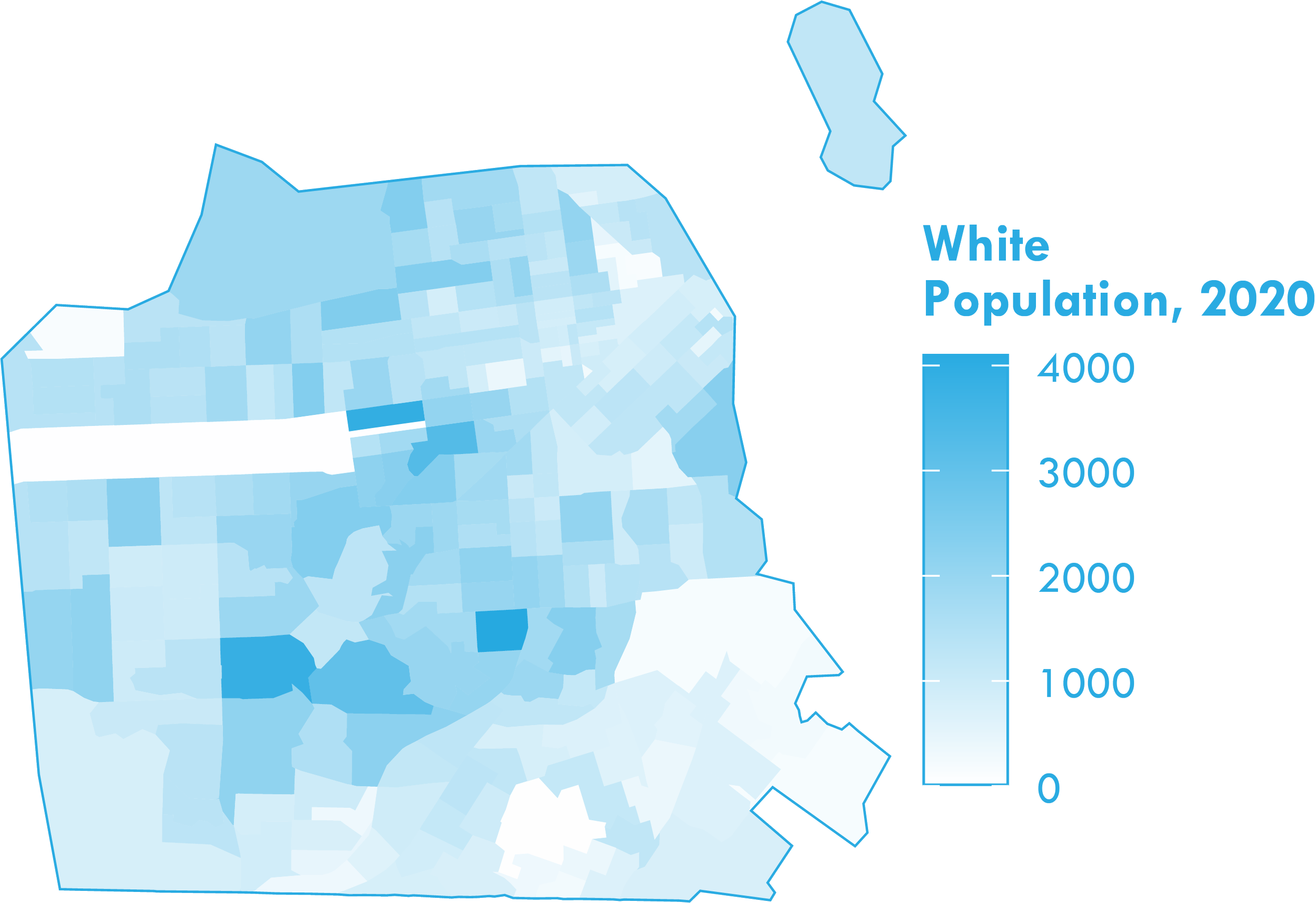 white2020map.png