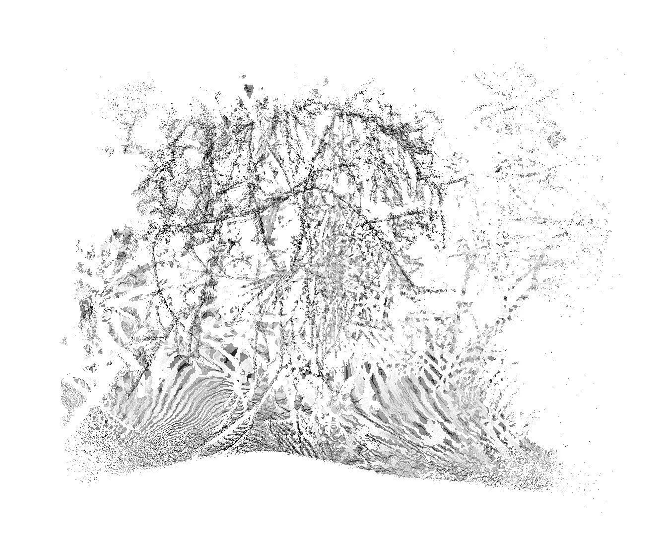3D Point Cloud Capture with Kinect