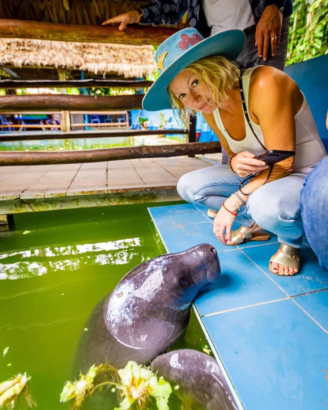 manatee rescue center
