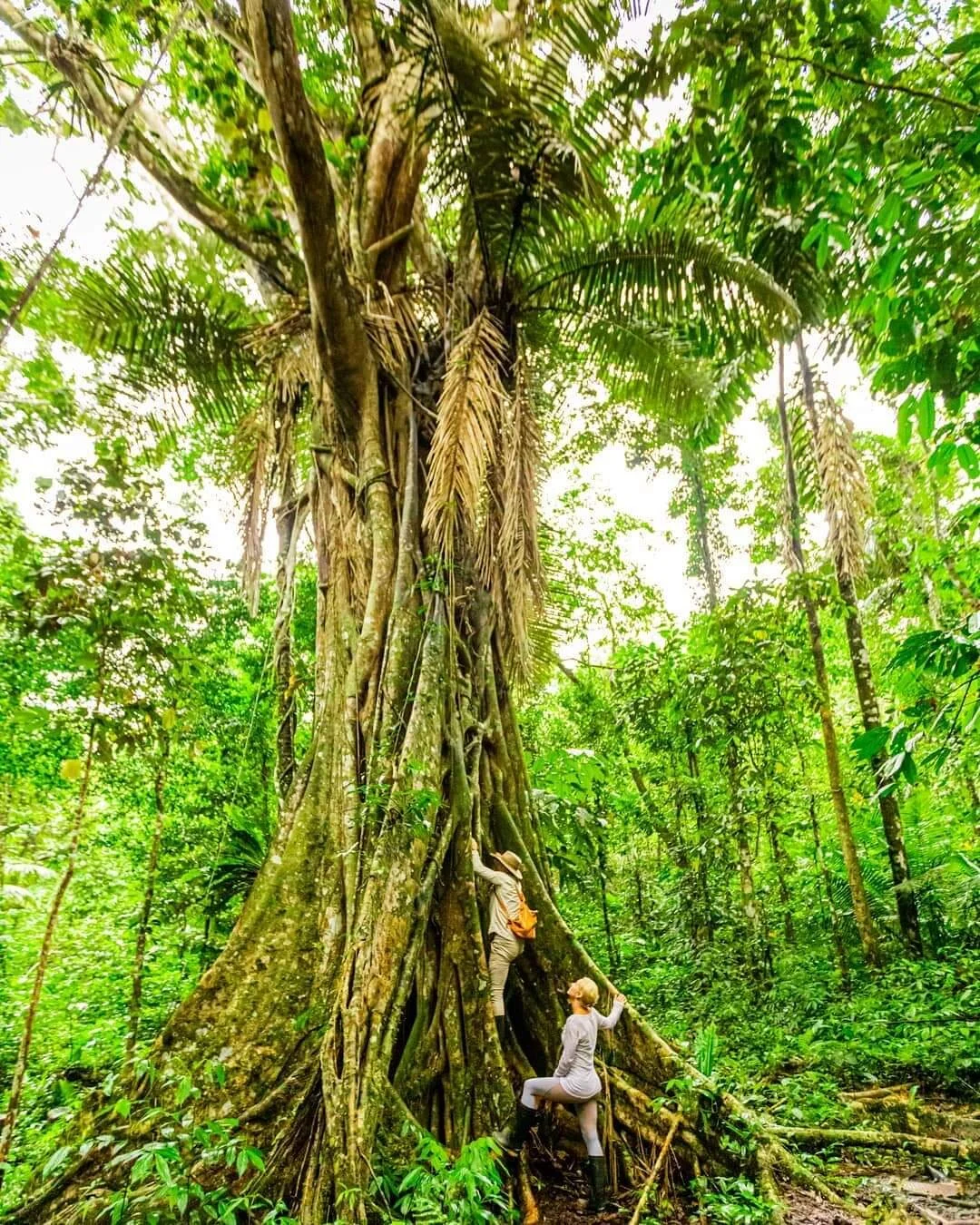 Andeana Travel Diaries Cruising Through the Amazon Rainforest in Peru