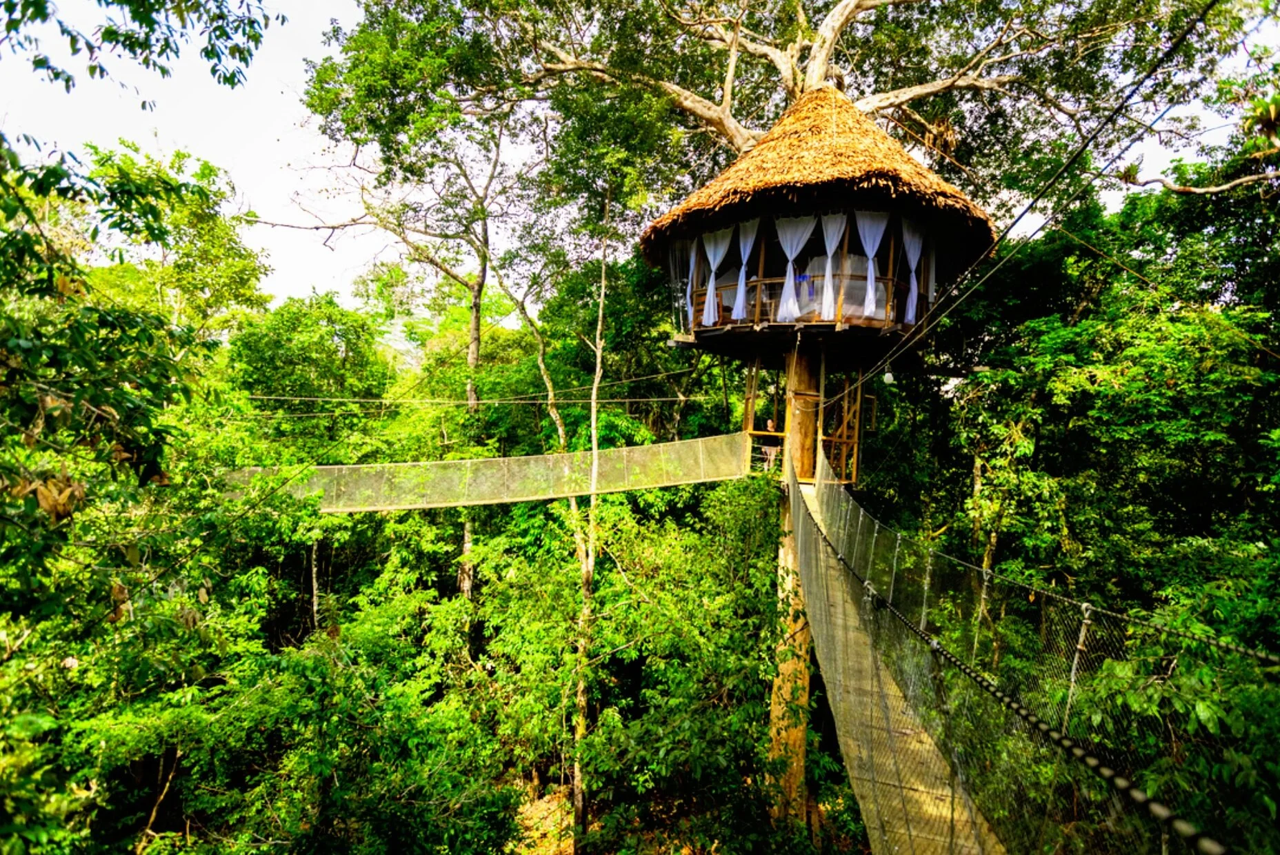Treehouse Lodge Peru