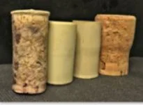 Eat, Drink, and Protect A Forest