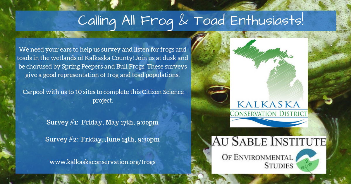 Frog and Toad Survey #1