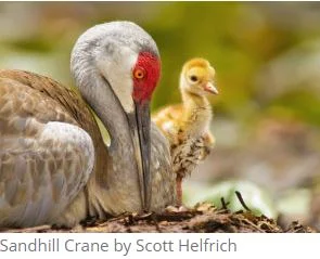 Conservation District April eNewsletter