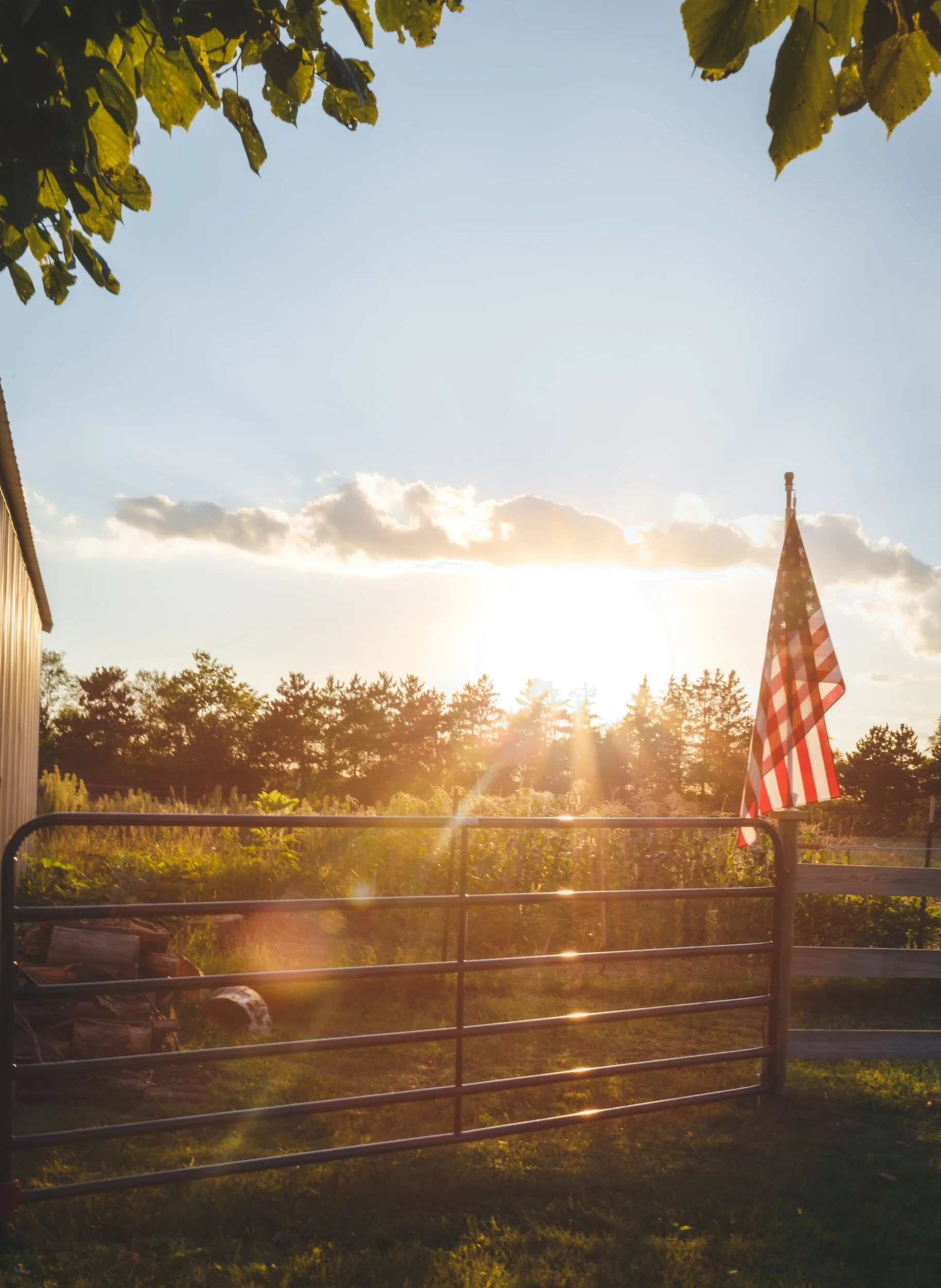 Before You Break Out New Ground, Ensure Your Farm Meets Conservation Compliance