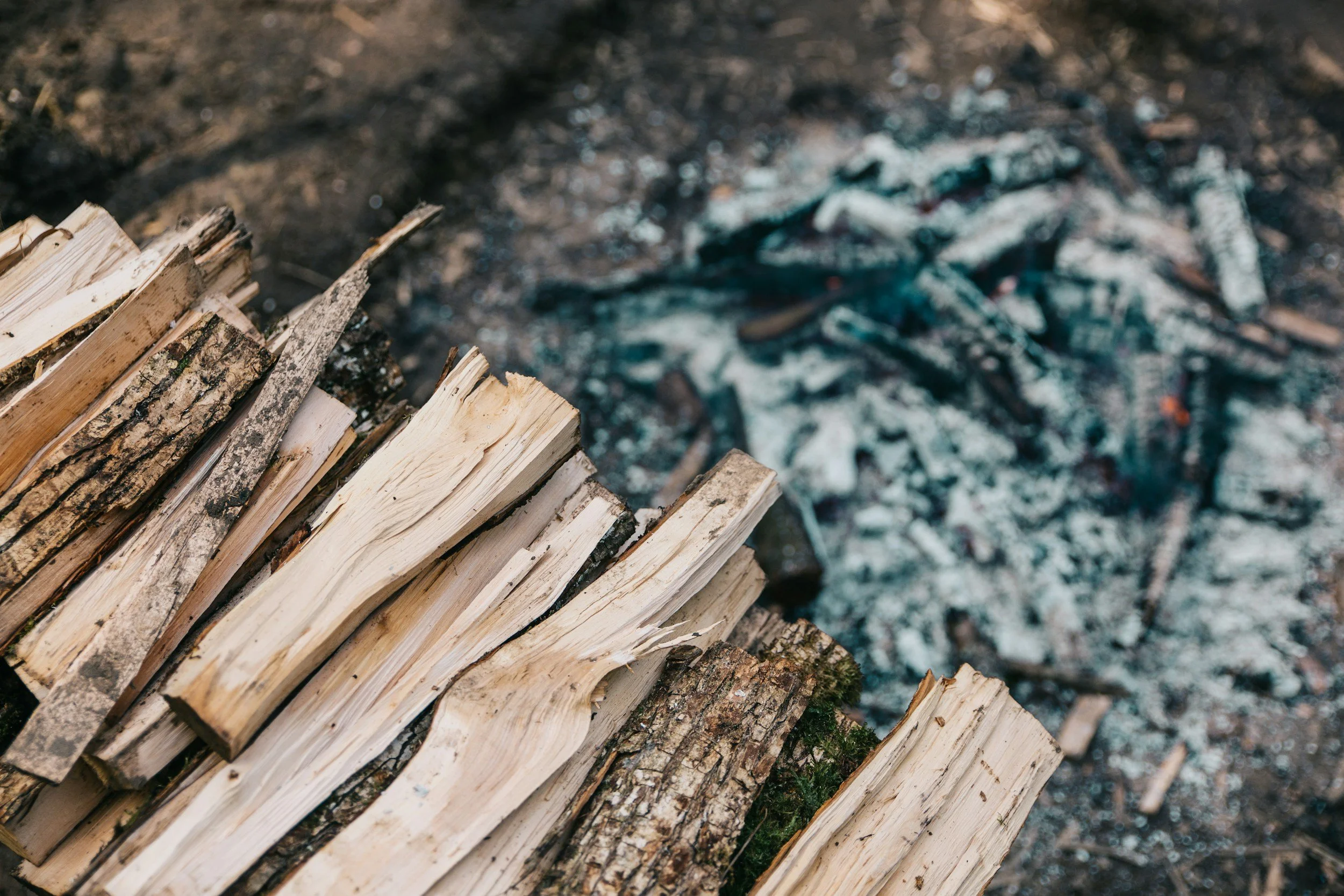 Buy It Where You Burn It - Leave The Firewood At Home