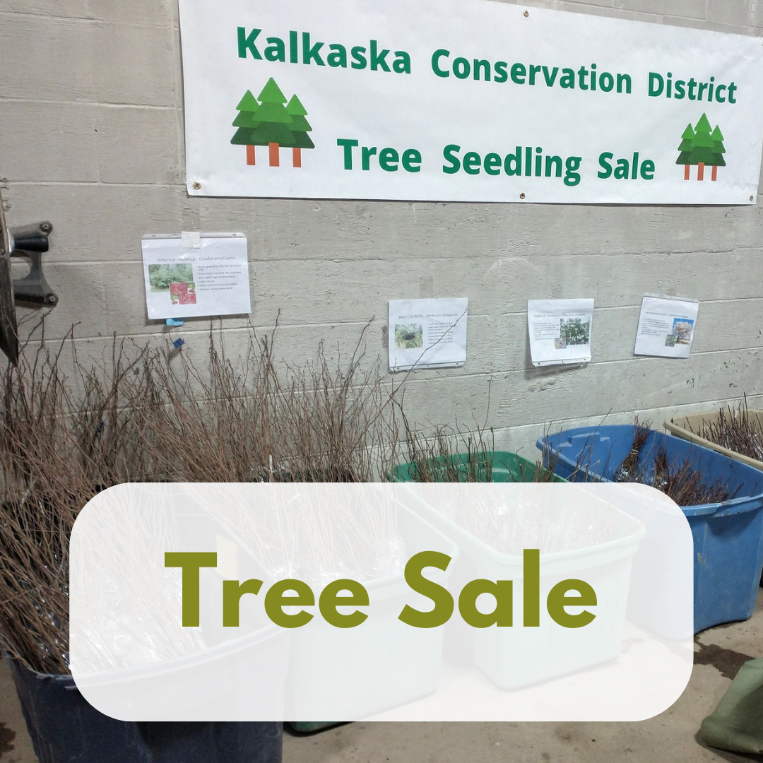 Tree Sale.png