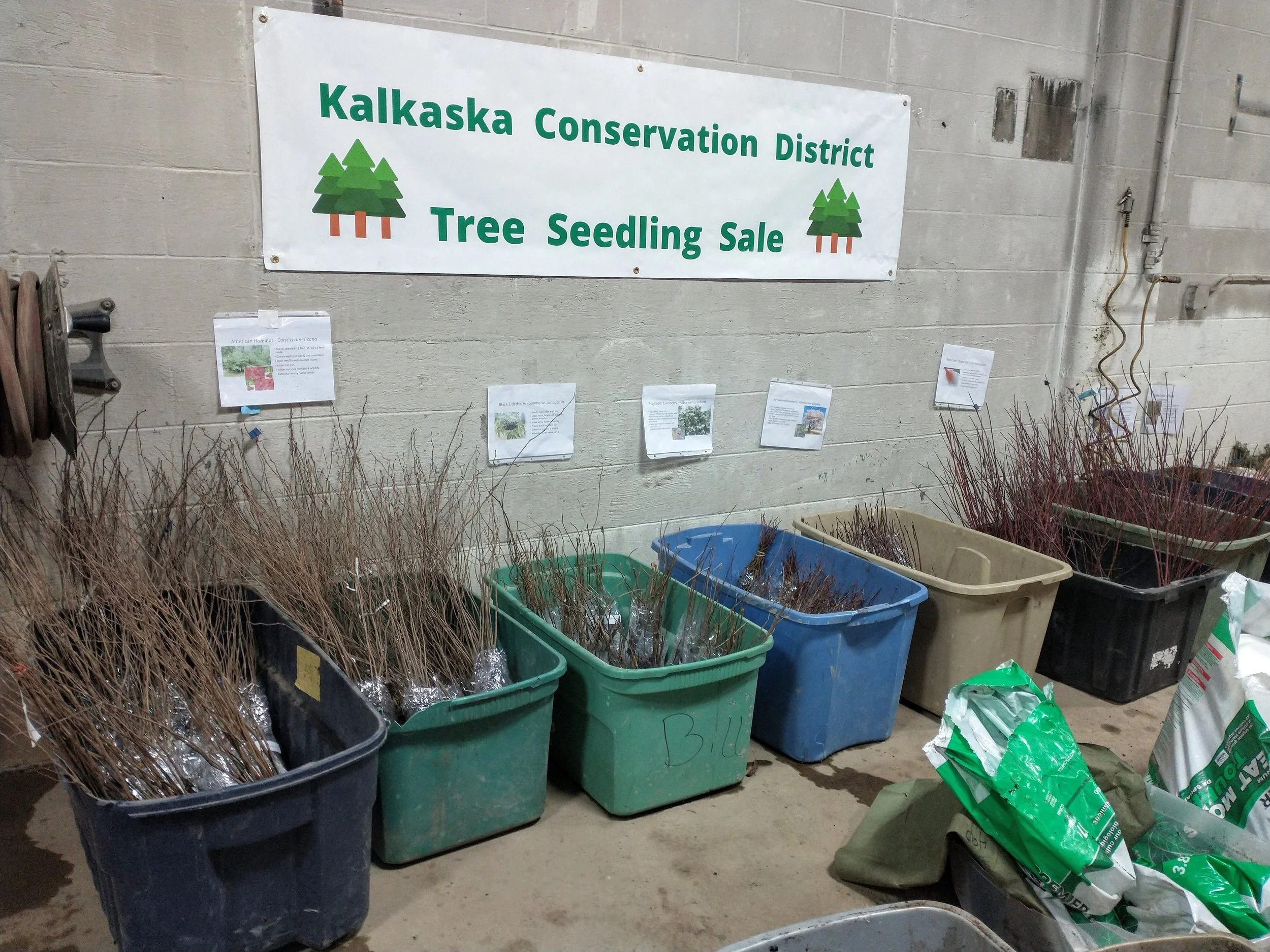 Tree Sale Order Pickup