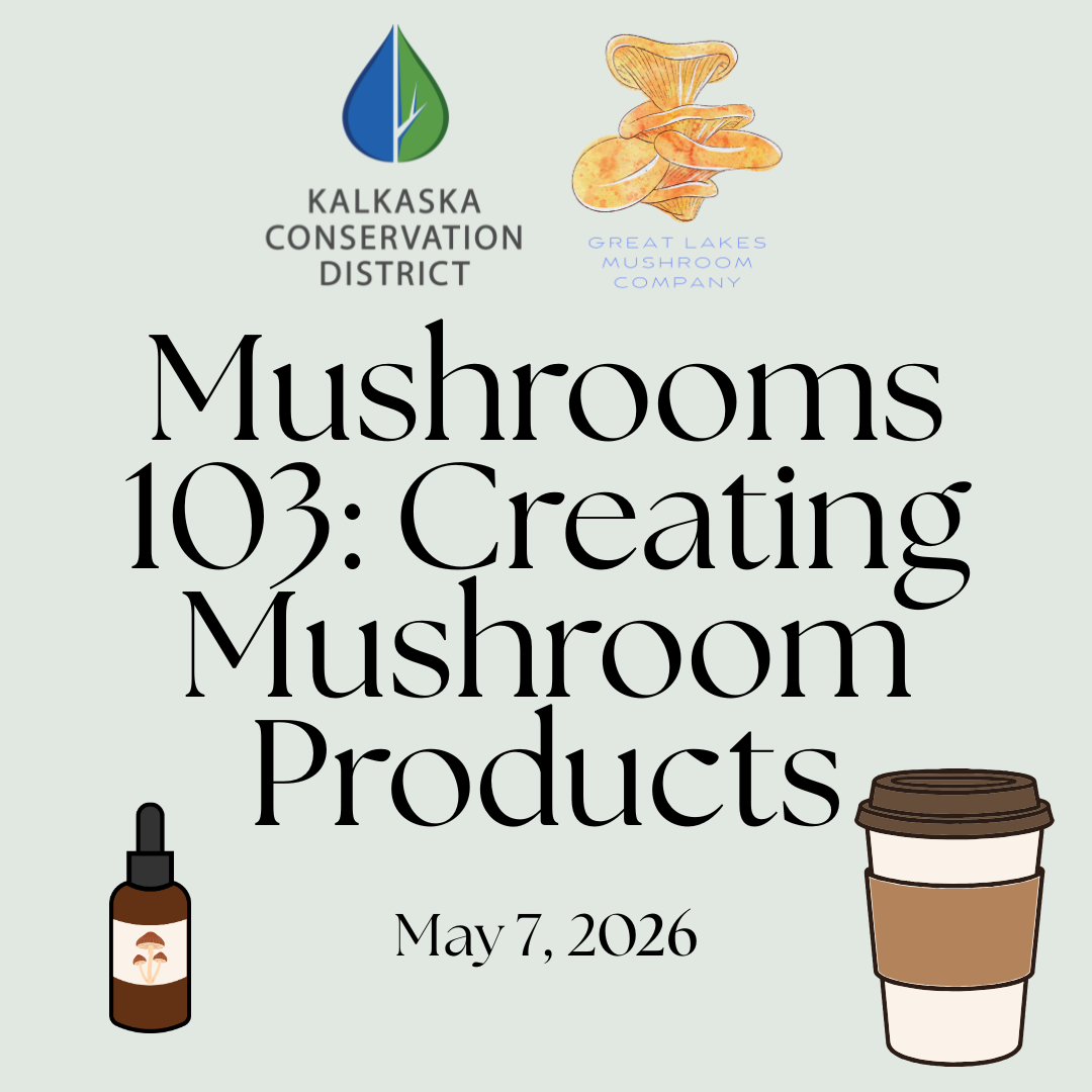 Mushrooms 103: Making Mushroom Products