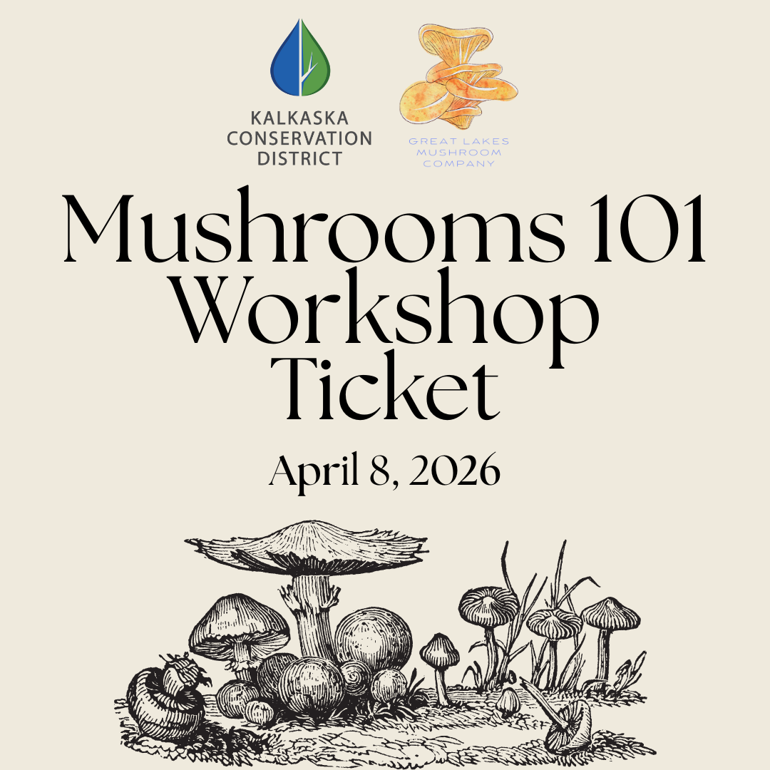 Mushroom Workshop-2.png
