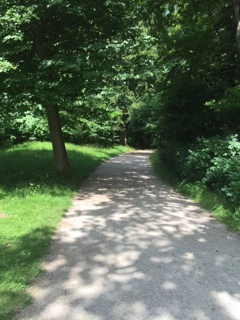 Finding Harmonious Agreement with the Past, Free for the Future