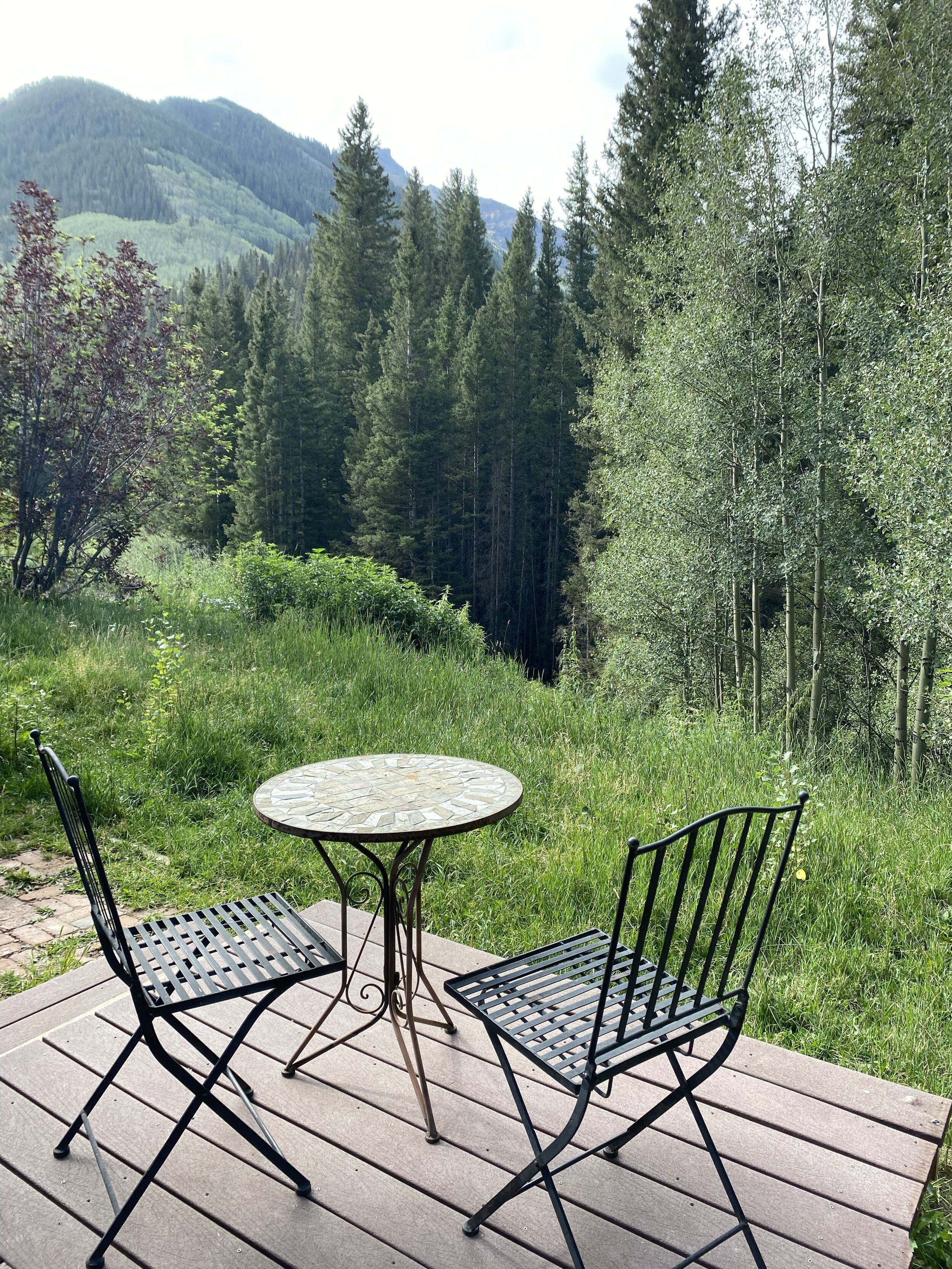 Seeking Connection in a Disconnected World- Principles of Systemic Constellation Work -  VIRTUAL EVENT