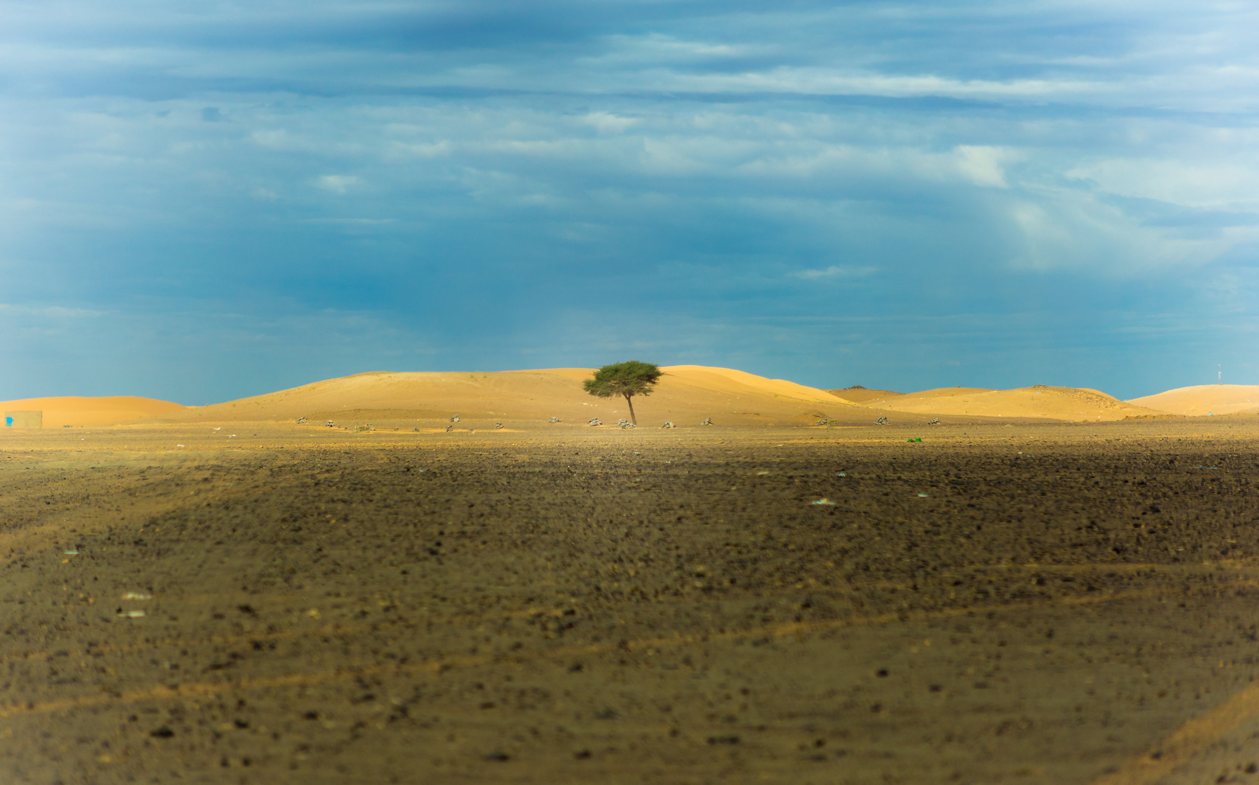 Resiliency: Transformation Through Life’s Challenges