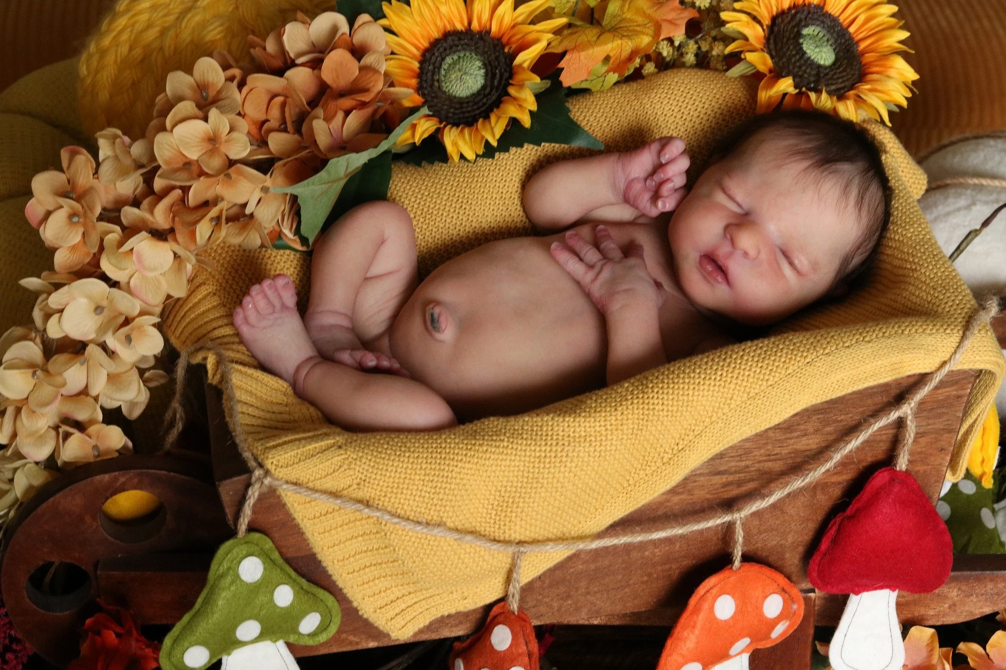 Happy Thanksgiving, everyone! 🦃

Photo by Susan Gibbs.