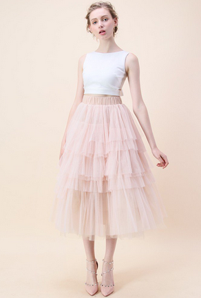 Chicwish Tulle Skirt