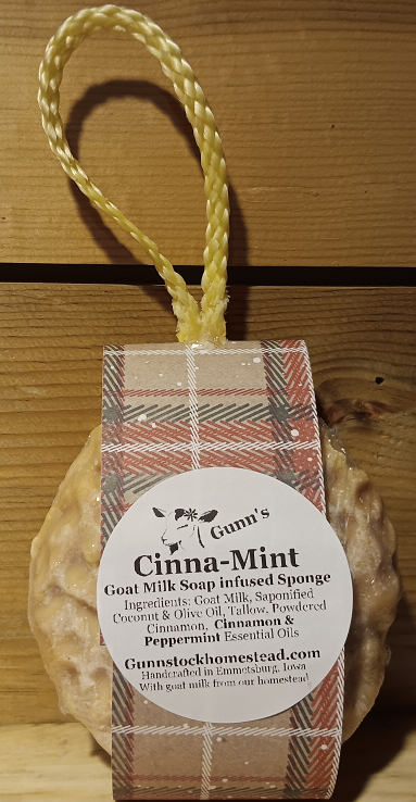 Cinna-Mint sponge.png