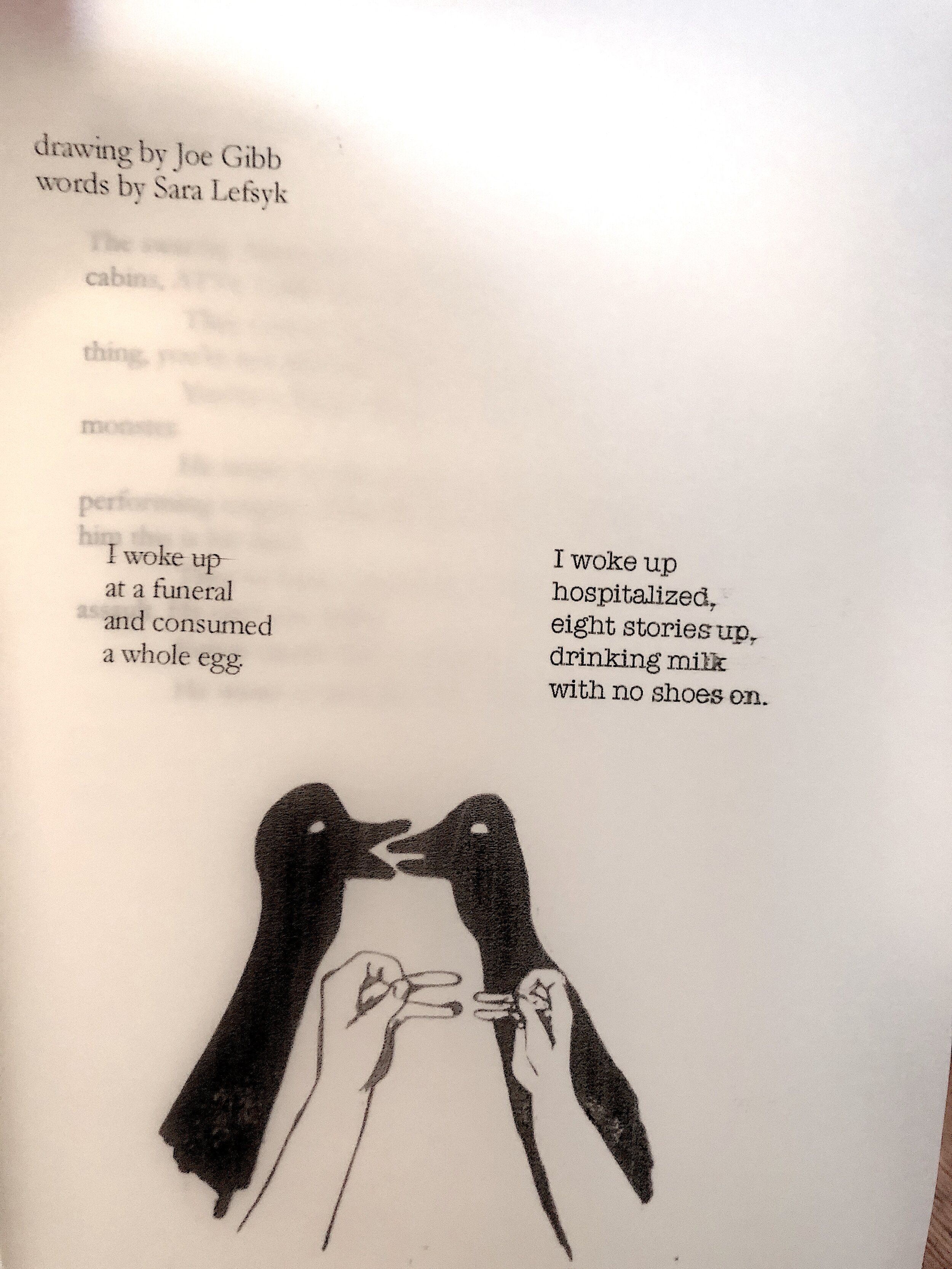 ducks joe and sara.jpg