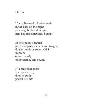 schneider poem for site.jpg