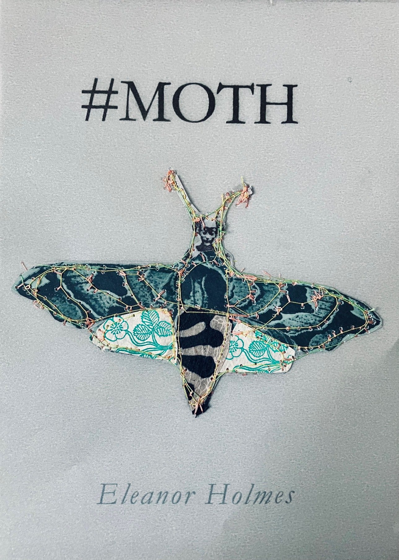 moth cover.jpg