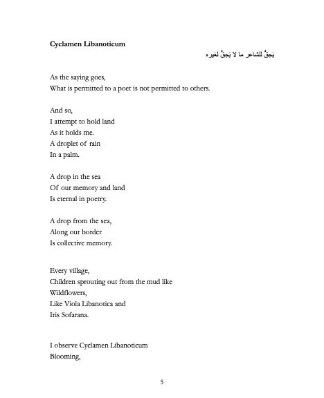 seeds poem 1.jpg
