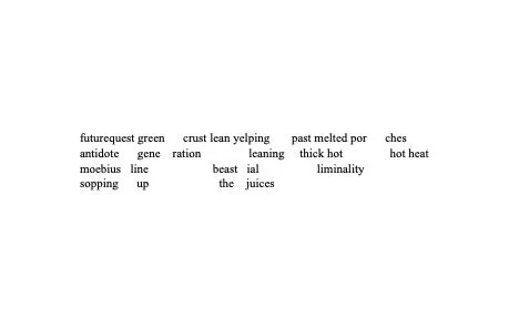 futurequest poem for site.jpg