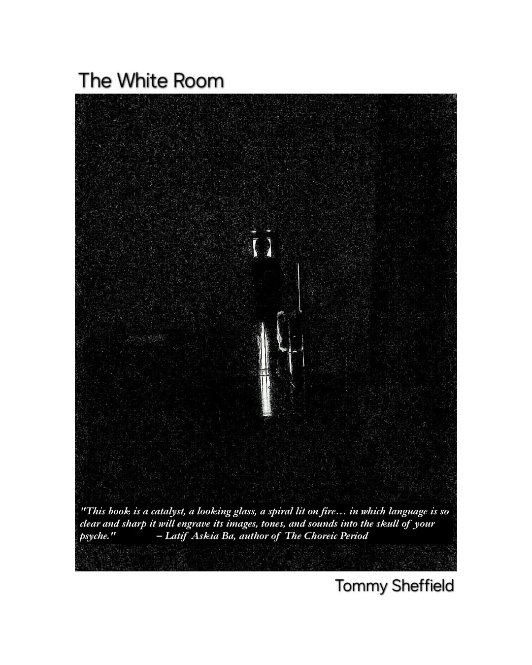 cover w quote.jpg