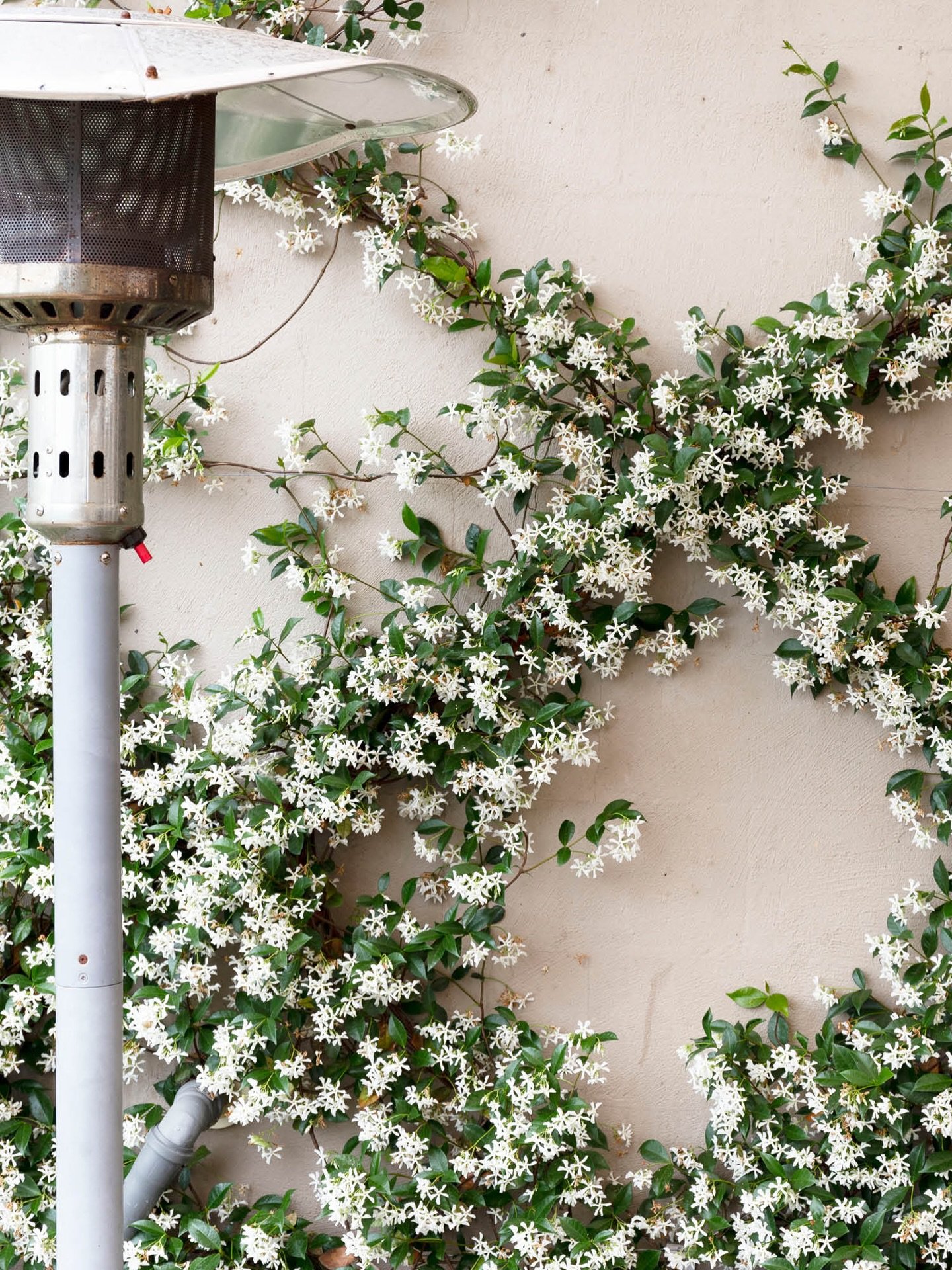 We&rsquo;re looking forward to a beautiful boutique micro wedding this Saturday evening as Sue and Jason celebrate with their nearest and dearest.

It will be an intimate night filled with love, good food and all the thoughtful details that make smal