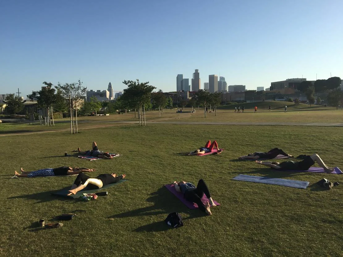 corporate yoga in the park.jpg