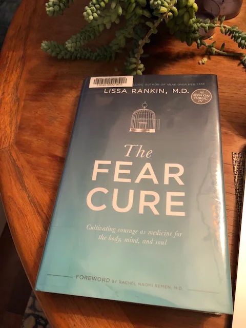 fear cure.jpg