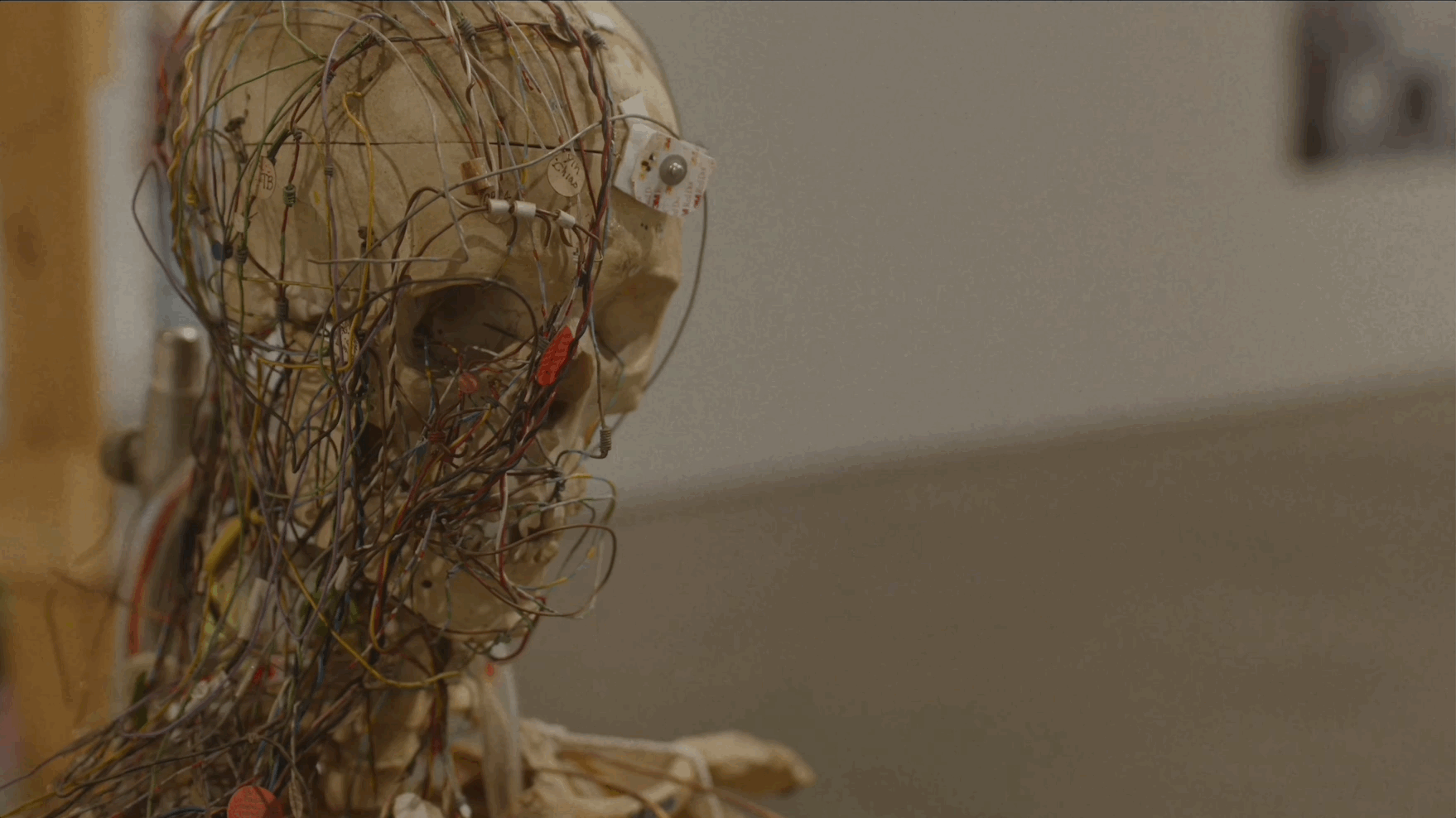 Sep-01-2023 13-58-05.gif