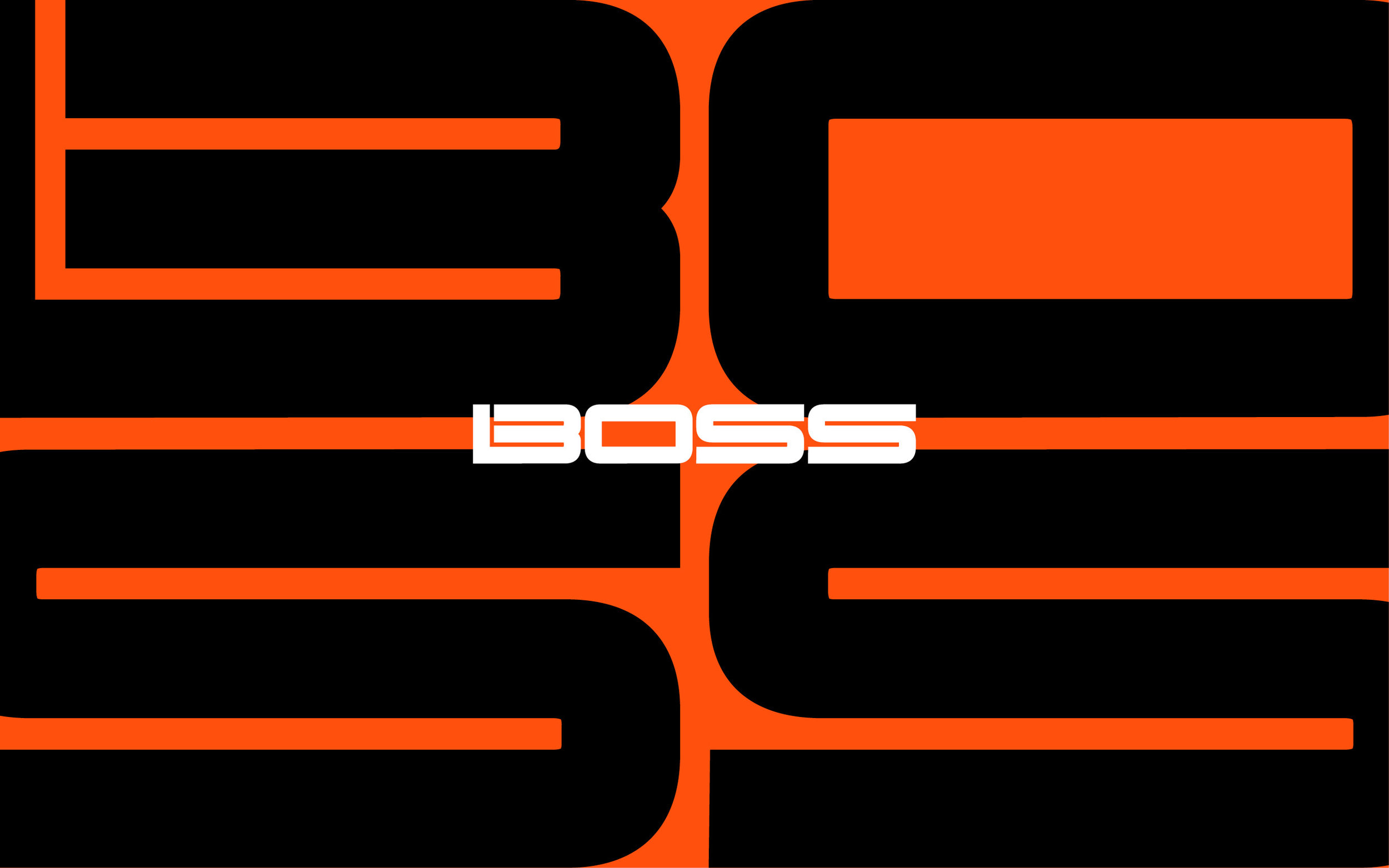 Boss_web_01a2.jpg