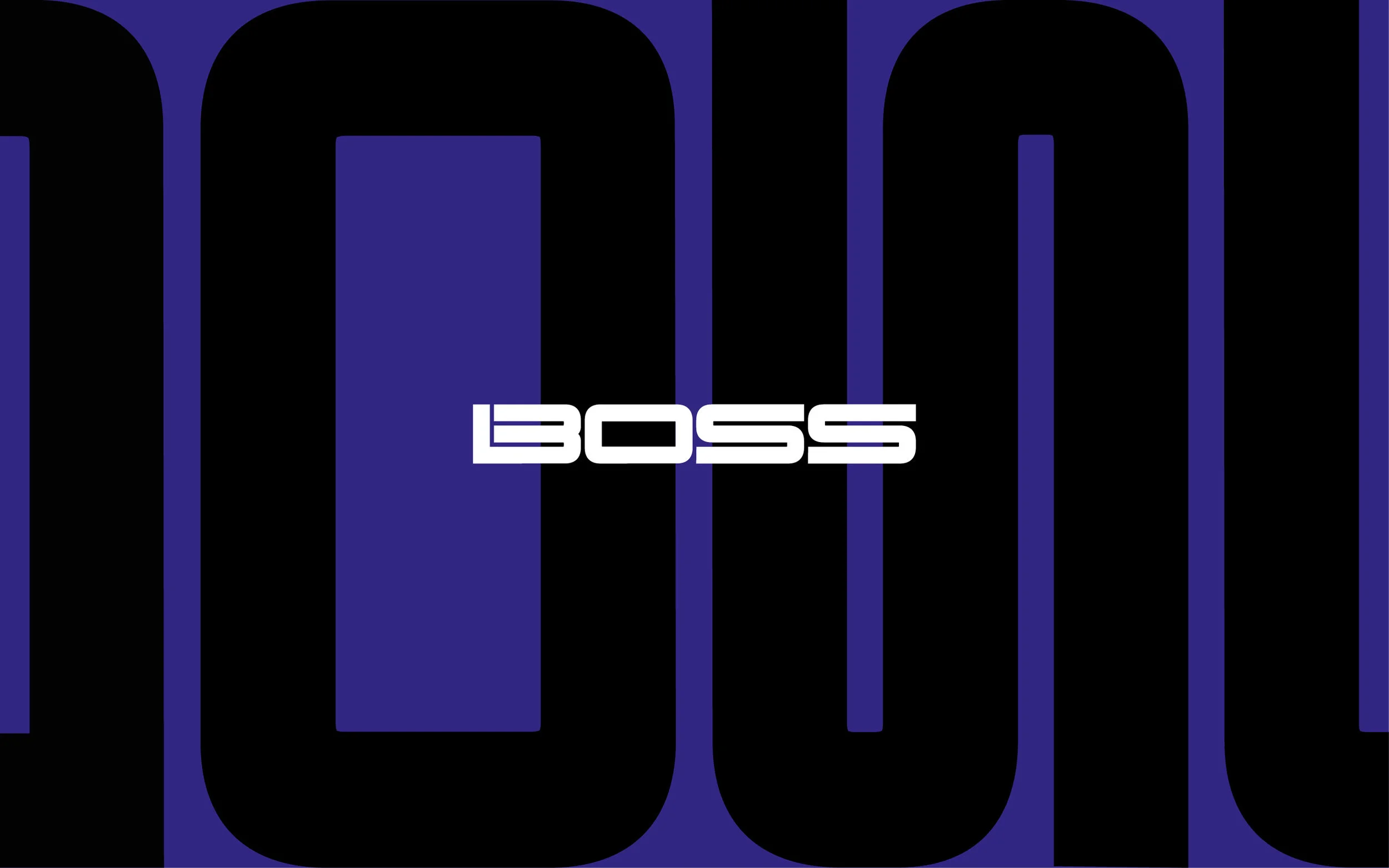 Boss_web_01a3.jpg