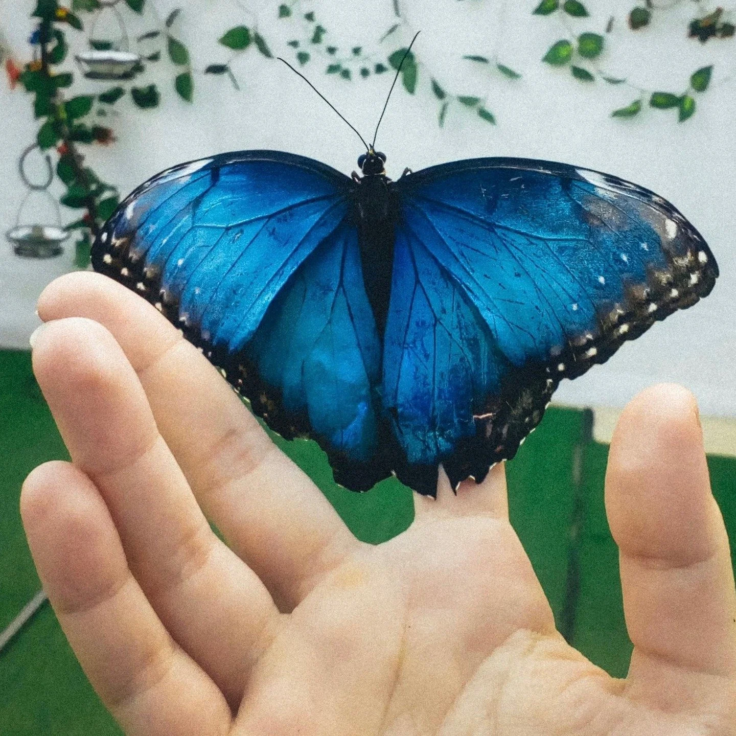 There is an analogy in the coaching world that goes something like: You need someone to point out the dirty smudge on your face&hellip; and that is true also of healing. We may not feel right but we don&rsquo;t know why or what to do about it and we 