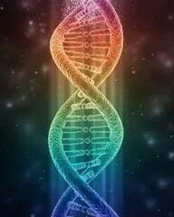 An evolution of Integral Health &ndash; a new way to support your health